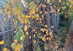 Дом 18м&sup2;, 2-этажный, участок 6 сот.  