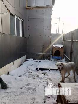 Дом 110м&sup2;, 2-этажный, участок 7 сот.  