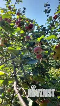 Дача 34м², 2-этажный, участок 6 сот.  