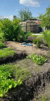 Дом 50м&sup2;, 2-этажный, участок 6 сот.  