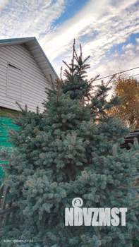 Дом 51м&sup2;, 1-этажный, участок 5 сот.  