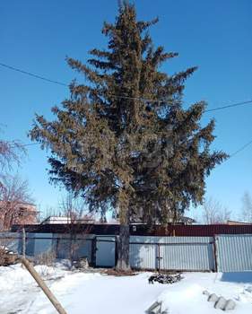 Дом 60м&sup2;, 2-этажный, участок 519 сот.  