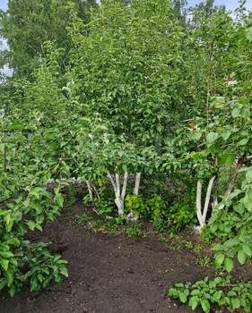 Дом 50м&sup2;, 2-этажный, участок 8 сот.  