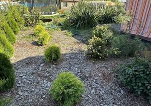 Дом 88м&sup2;, 1-этажный, участок 9 сот.  