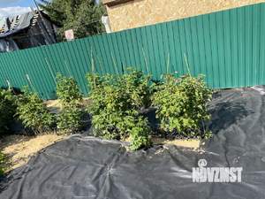 Дом 25м&sup2;, 2-этажный, участок 6 сот.  