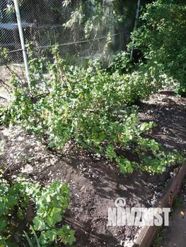 Дом 30м&sup2;, 1-этажный, участок 5 сот.  