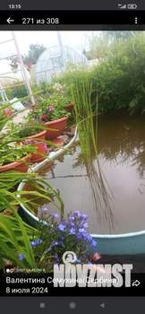 Дом 52м&sup2;, 1-этажный, участок 12 сот.  