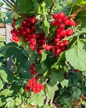 Дом 118м&sup2;, 2-этажный, участок 5 сот.  