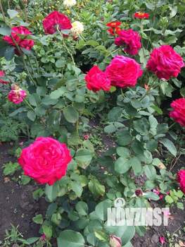 Дом 60м&sup2;, 2-этажный, участок 7 сот.  