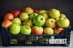 Дом 70м&sup2;, 2-этажный, участок 7 сот.  