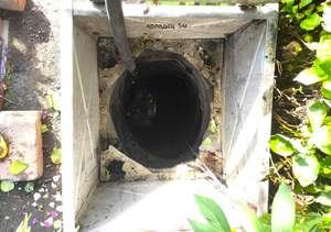 Дом 52м&sup2;, 1-этажный, участок 4 сот.  