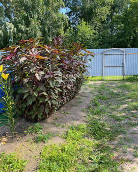 Дом 72м², 2-этажный, участок 8 сот.  