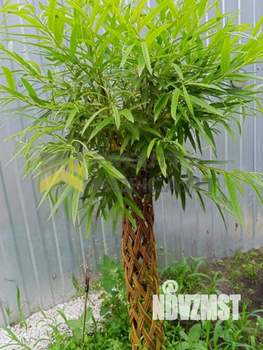 Дом 60м&sup2;, 1-этажный, участок 4 сот.  