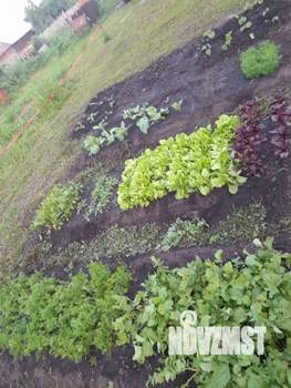 Дом 36м&sup2;, 1-этажный, участок 6 сот.  