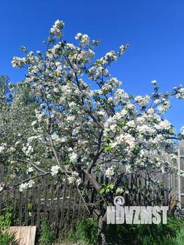 Дом 45м&sup2;, 2-этажный, участок 7 сот.  