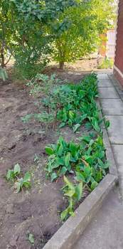 Дом 55м&sup2;, 2-этажный, участок 5 сот.  