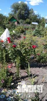 Дом 26м&sup2;, 1-этажный, участок 4 сот.  