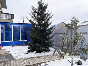 Дом 56м&sup2;, 1-этажный, участок 4 сот.  