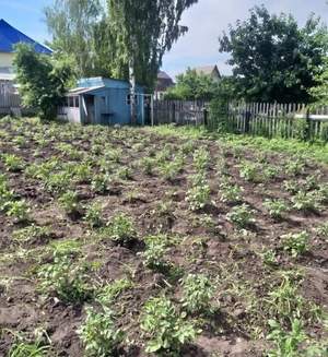 Дом 30м&sup2;, 2-этажный, участок 6 сот.  