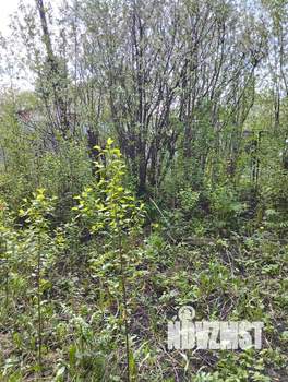 Дом 35м², 1-этажный, участок 6 сот.  