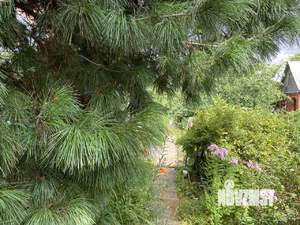 Дача 24м², 2-этажный, участок 6 сот.  