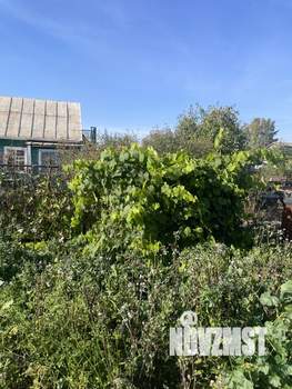 Дача 20м², 1-этажный, участок 6 сот.  