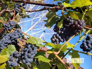 Дом 70м&sup2;, 2-этажный, участок 5 сот.  