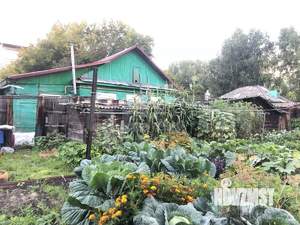 Дом 72м², 1-этажный, участок 4 сот.  