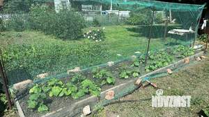 Дача 60м², 1-этажный, участок 6 сот.  