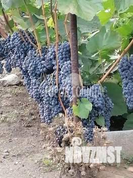 Дом 25м&sup2;, 1-этажный, участок 6 сот.  