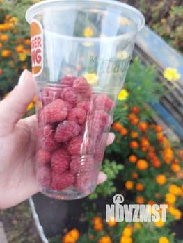 Дом 35м&sup2;, 2-этажный, участок 5 сот.  