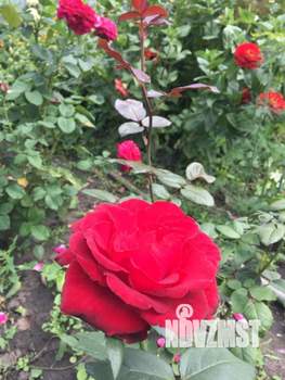 Дом 60м&sup2;, 2-этажный, участок 7 сот.  