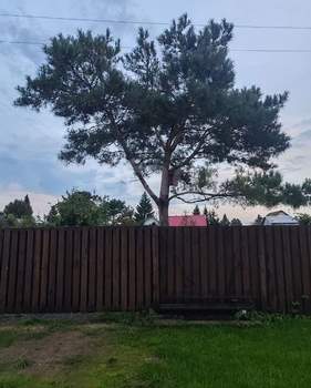 Дом 15м&sup2;, 2-этажный, участок 5 сот.  