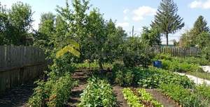 Дом 24м&sup2;, 1-этажный, участок 7 сот.  