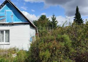 Дом 25м², 2-этажный, участок 392 сот.  