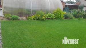 Дом 50м&sup2;, 1-этажный, участок 5 сот.  