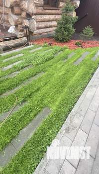 Дом 130м&sup2;, 2-этажный, участок 4 сот.  