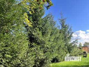 Дом 30м&sup2;, 1-этажный, участок 8 сот.  