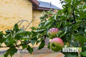 Коттедж 225м&sup2;, 2-этажный, участок 8 сот.  