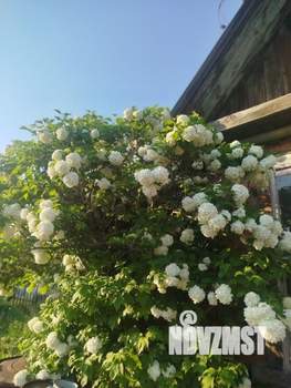 Дом 30м&sup2;, 1-этажный, участок 7 сот.  