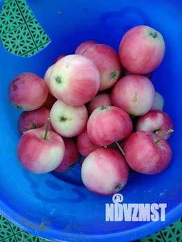 Дом 30м&sup2;, 1-этажный, участок 6 сот.  