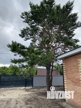 Дом 84м&sup2;, 1-этажный, участок 4 сот.  