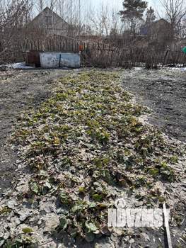 Дача 18м², 1-этажный, участок 6 сот.  