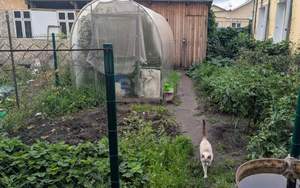 Дом 52м&sup2;, 2-этажный, участок 4 сот.  