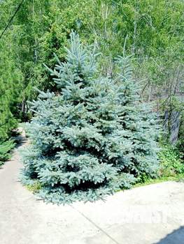 Дом 58м², 2-этажный, участок 6 сот.  