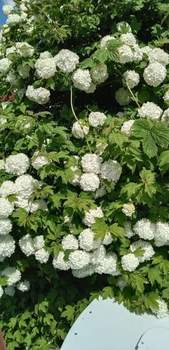 Дом 6м&sup2;, 2-этажный, участок 44 сот.  