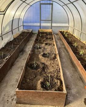 Дом 49м&sup2;, 2-этажный, участок 607 сот.  