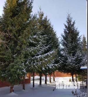 Дом 41м&sup2;, 2-этажный, участок 6 сот.  