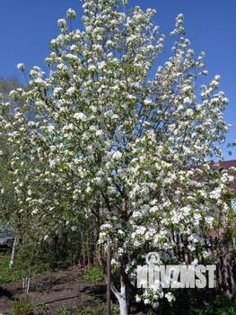 Дача 70м², 2-этажный, участок 6 сот.  