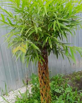 Дом 60м&sup2;, 1-этажный, участок 4 сот.  